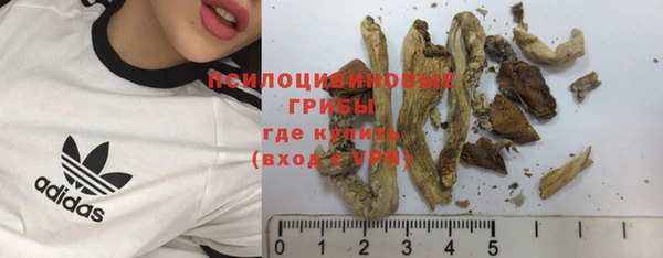 трава Строитель