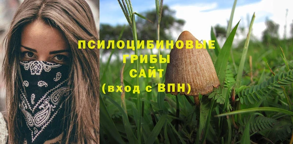 трава Струнино