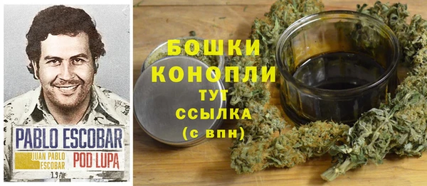 ПСИЛОЦИБИНОВЫЕ ГРИБЫ Верея