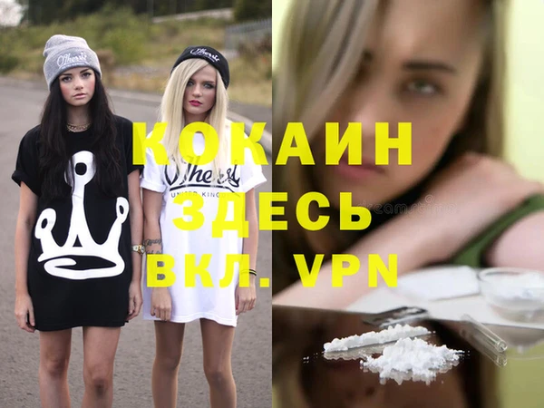 ПСИЛОЦИБИНОВЫЕ ГРИБЫ Верея