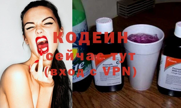 ПСИЛОЦИБИНОВЫЕ ГРИБЫ Верея