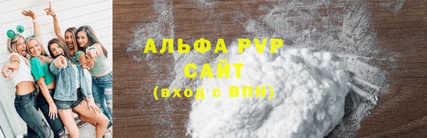 ПСИЛОЦИБИНОВЫЕ ГРИБЫ Верея