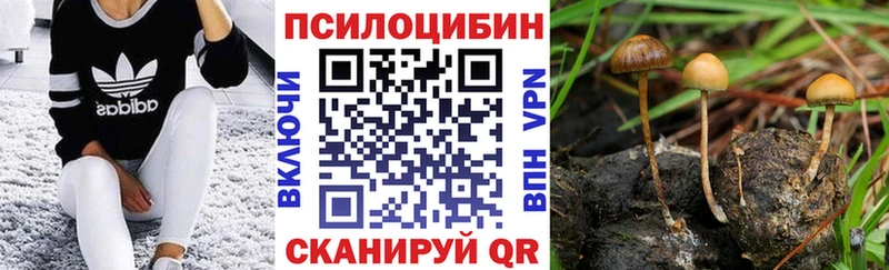 Псилоцибиновые грибы мухоморы  Медногорск 