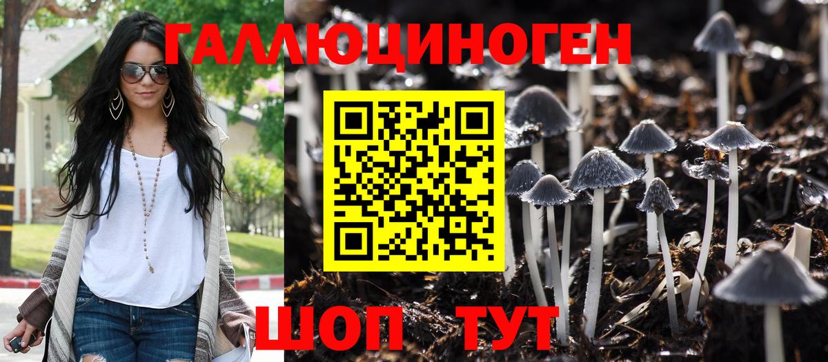 Псилоцибиновые грибы Magic Shrooms Медногорск